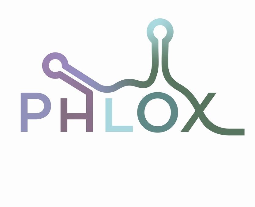 AMC spin-of Phlox Therapeutics is founded